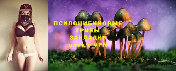 первитин Надым