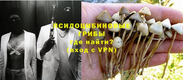 хмурый Михайлов