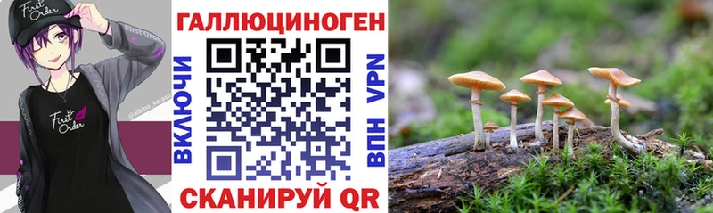 Галлюциногенные грибы ЛСД  маркетплейс какой сайт  Микунь  сколько стоит 